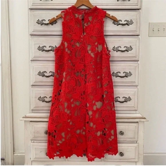 Vici Red Lace Overlay Dress - Picture 2 of 3